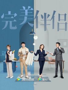 完美伴侣[dvd版]